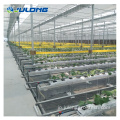 NFT Hydroponic Channel Hydroponic温室機器